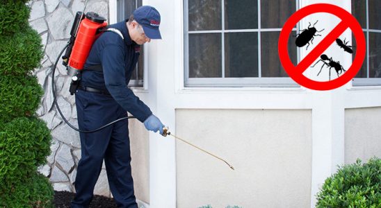 Evka 1 Akrep İlaçlama böcek ilaçlama ve haşere kontrolü — ilaclama-tr.com